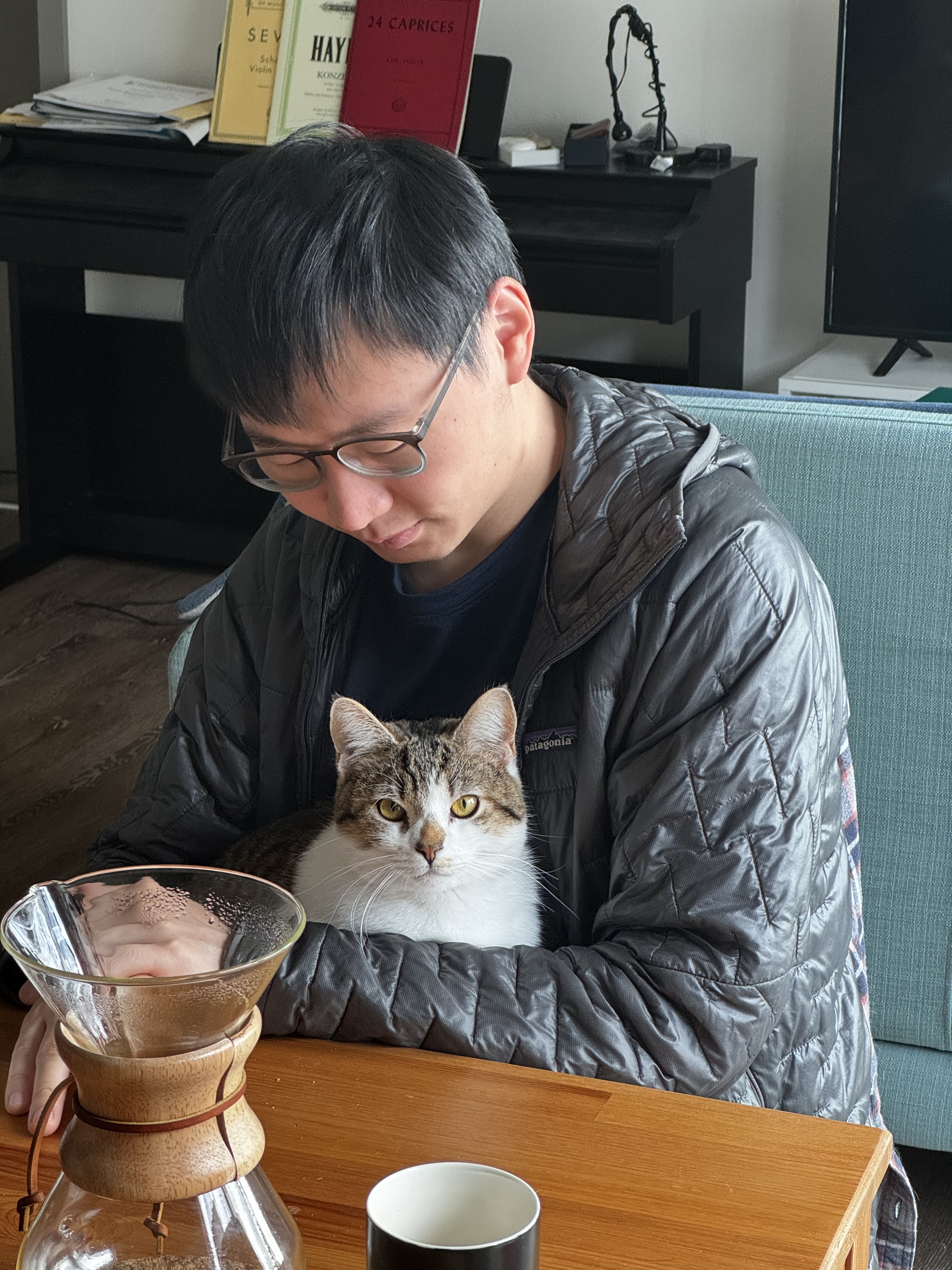 cat cuddle with human